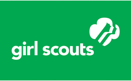 Scouts 01